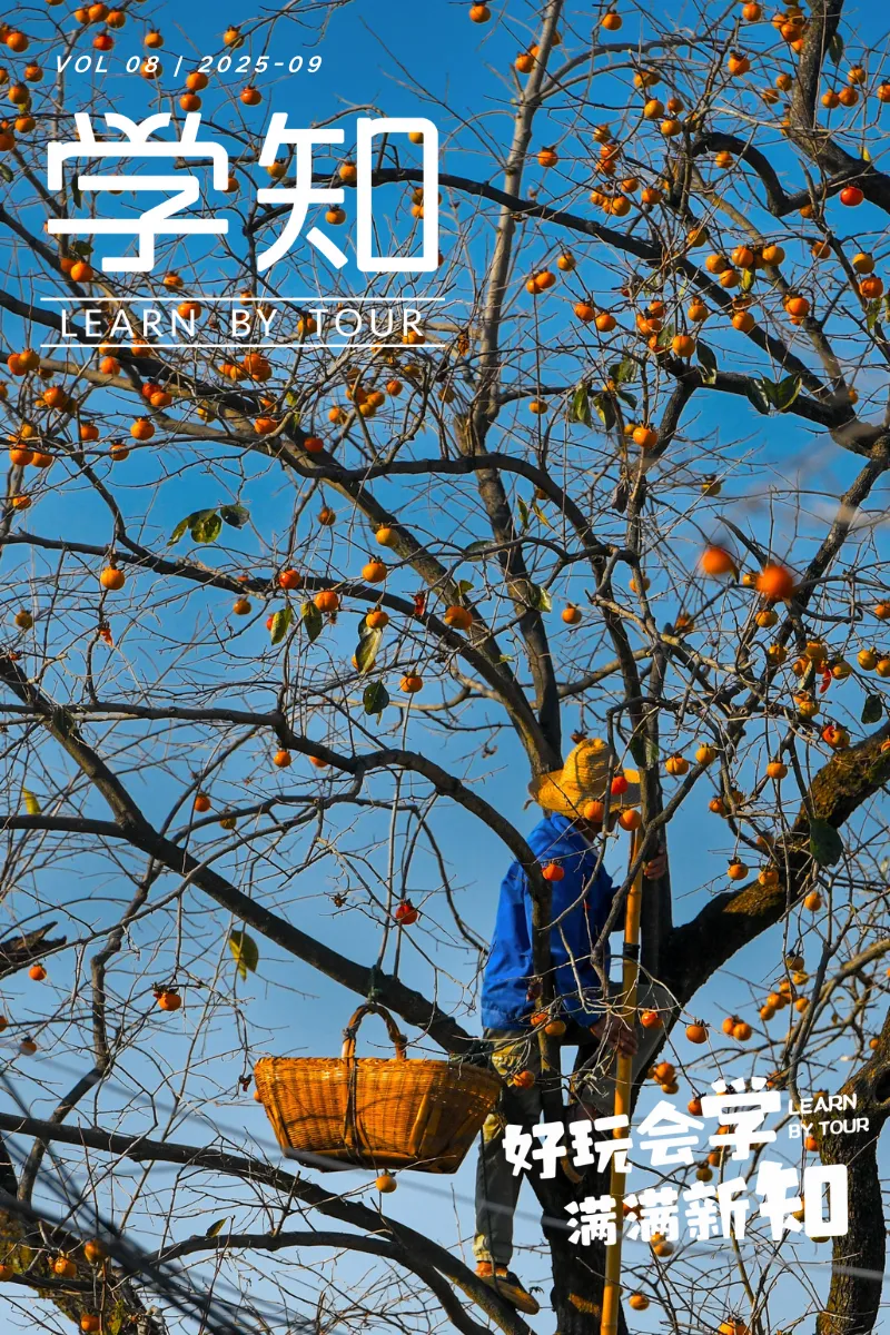 2025国庆 · 蕲春亲子营 | 百年柿林摘秋、千年古窑非遗陶艺、蕲艾手作，藏在湖北的宝藏小城被我们挖到了！