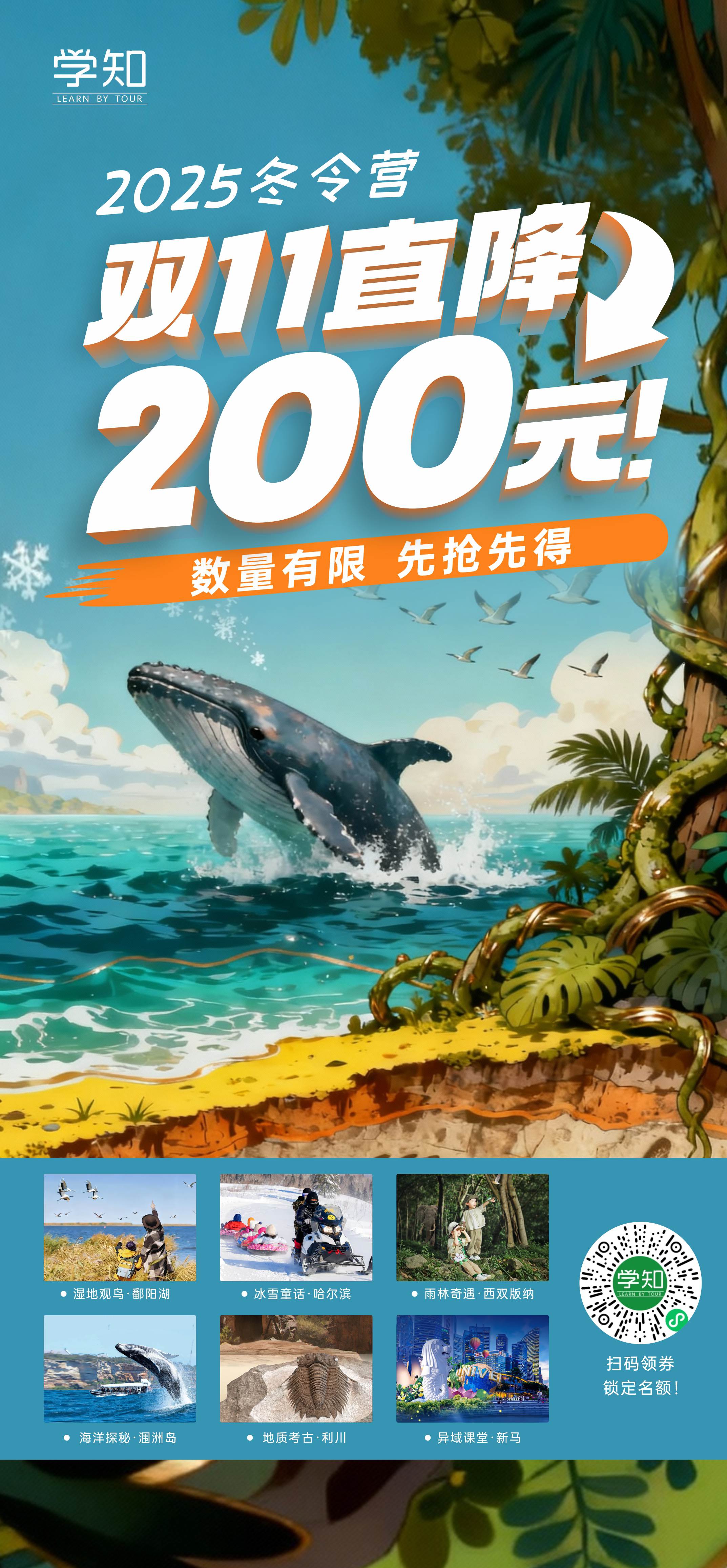 2025冬令营 | 双十一！没有套路！直接立减！