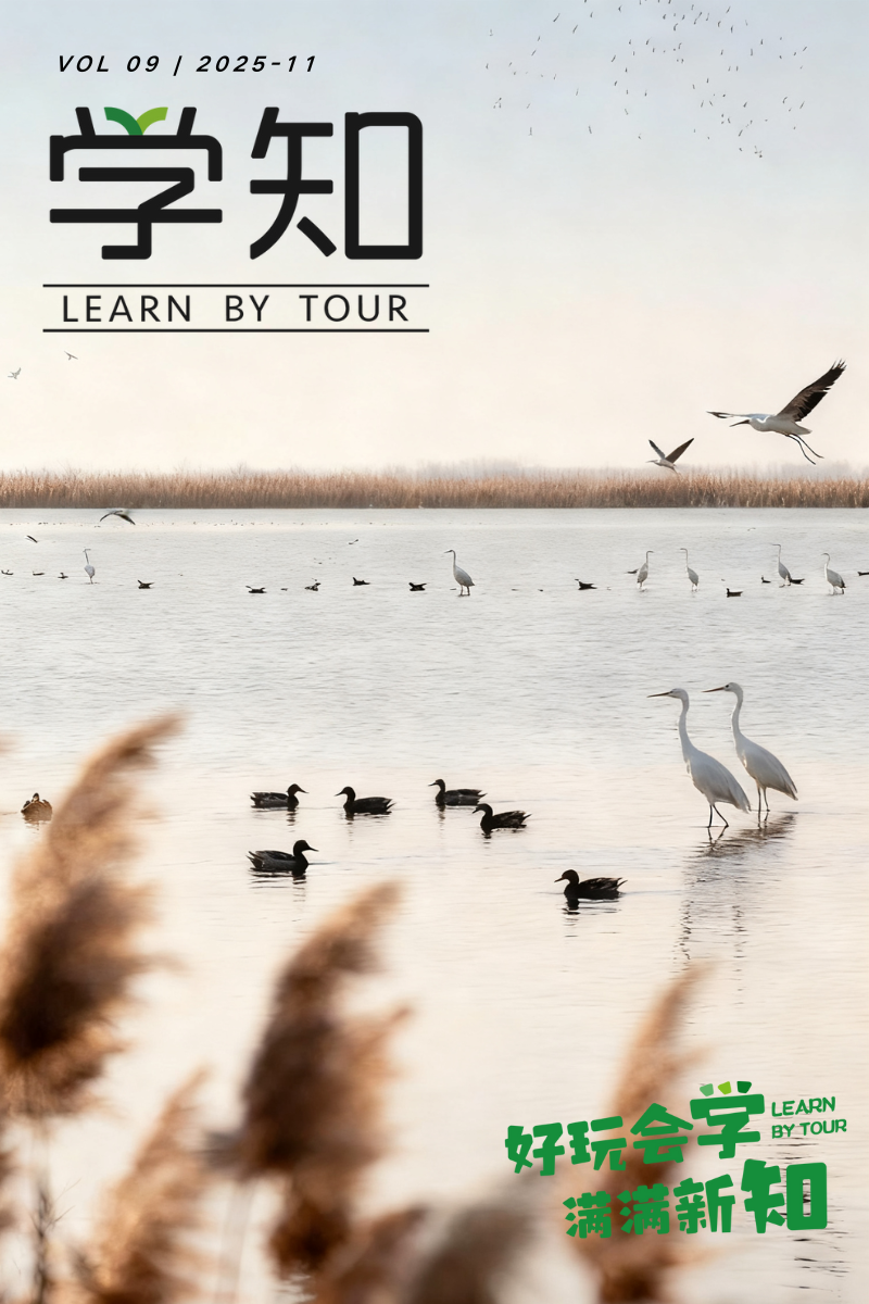 4天3晚·鄱阳湖观鸟冬令营 | 看万鸟齐飞、参加国际观鸟赛事、走近海昏侯《论语》新发现、在庐山上一堂实景语文课