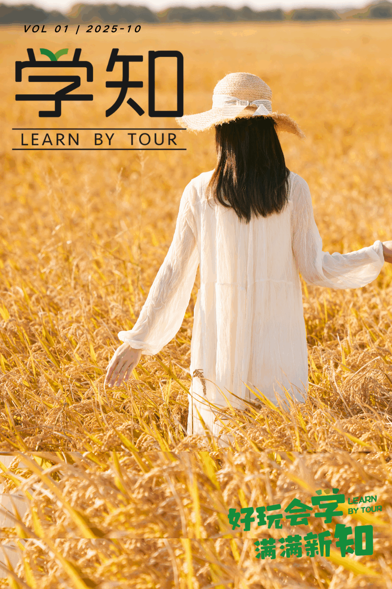 千真万确，武汉已进入最美秋天！周末带孩子下田撒欢：割稻子，砍甘蔗，挖红薯，秋日丰收好快乐！