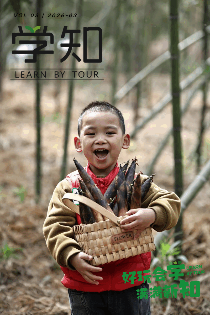 亲子活动上新｜上春山、挖春笋、做非遗竹编、一次解锁4种踏春体验！