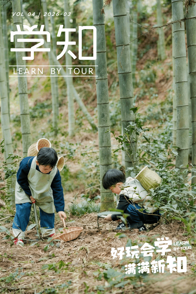 清明亲子 |  武汉周边1h！当“小小农场主”，挖春笋、焖竹筒饭、摘野菜、钓大鱼，做一日快乐野孩子！