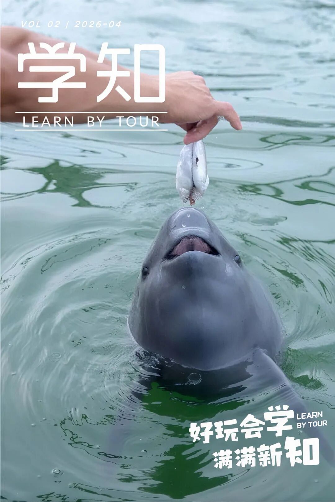 3天2晚·荆州·江豚科考营 | 武汉官宣城市吉祥物！去天鹅洲看江豚本尊，寻麋鹿、探楚国古都，这一趟刚好赶上