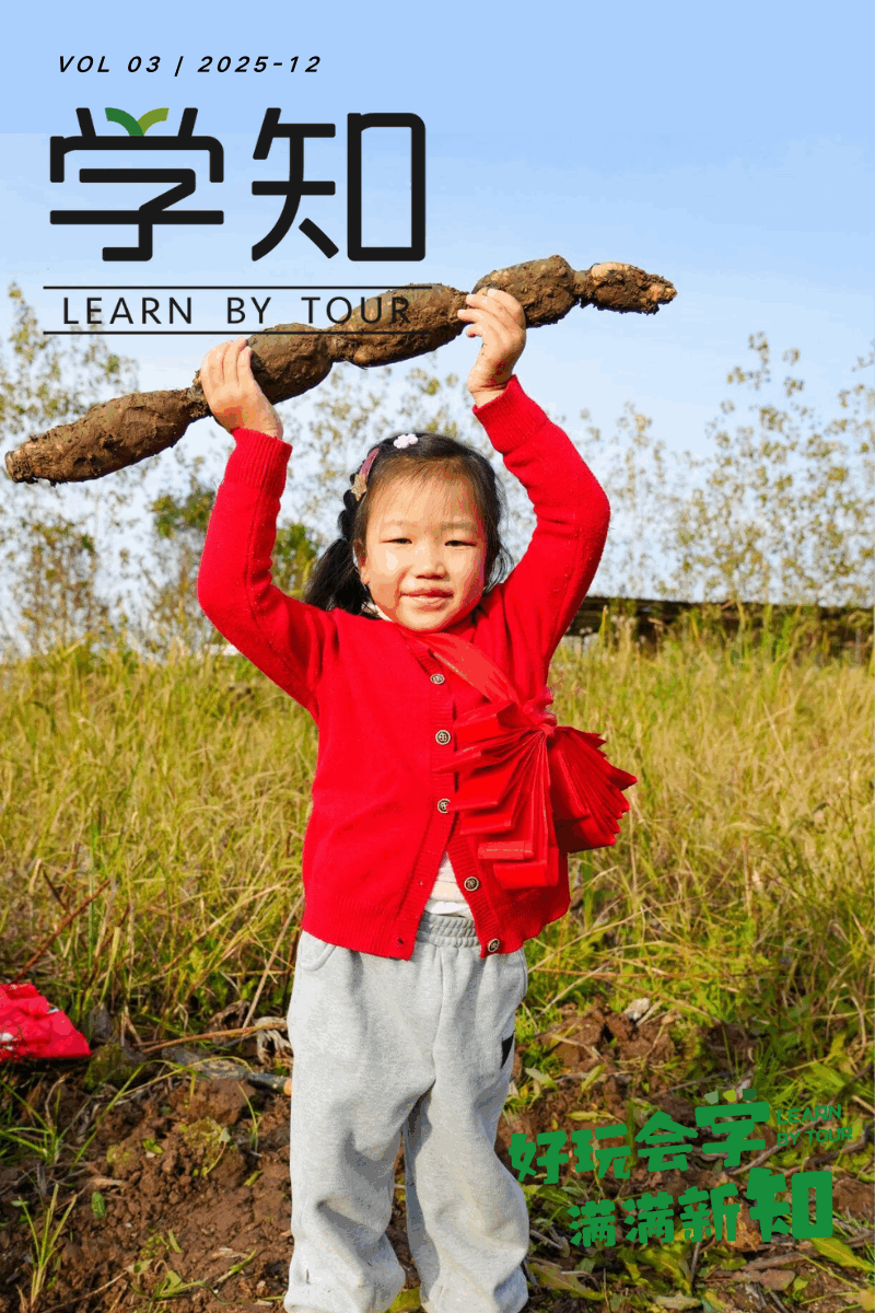 周末亲子上新 | 冬天挖藕不下水，挖多少，都能带回家！煮藕粉甜甜糯糯，热藕汤一口到胃，一次玩尽冬日丰收味