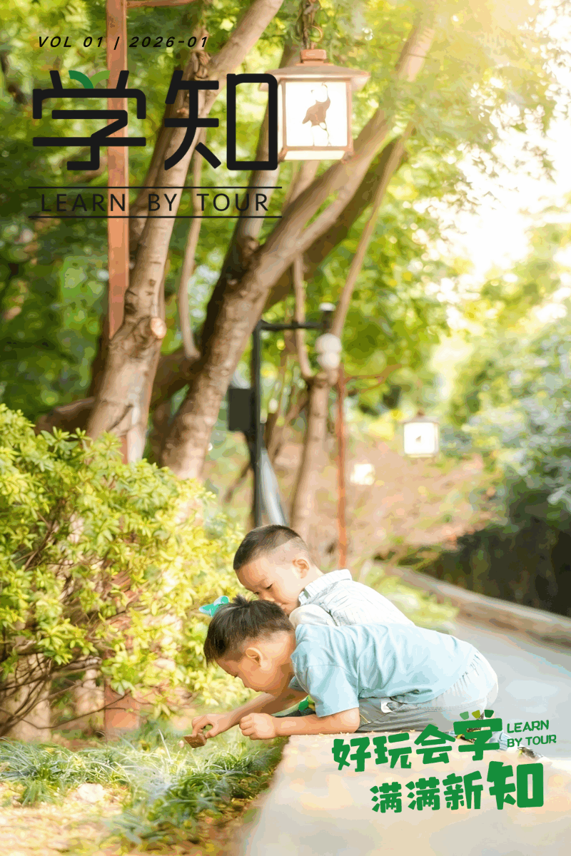 比逛公园好玩，比爬山省心！本周末昆虫观察亲子徒步，自然老师带队出发